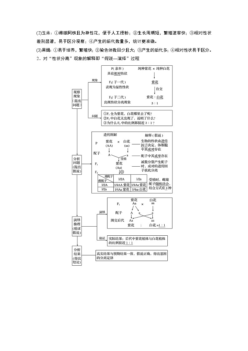 2020版生物新导学大一轮苏教讲义：第五单元基因的传递规律第15讲第2页