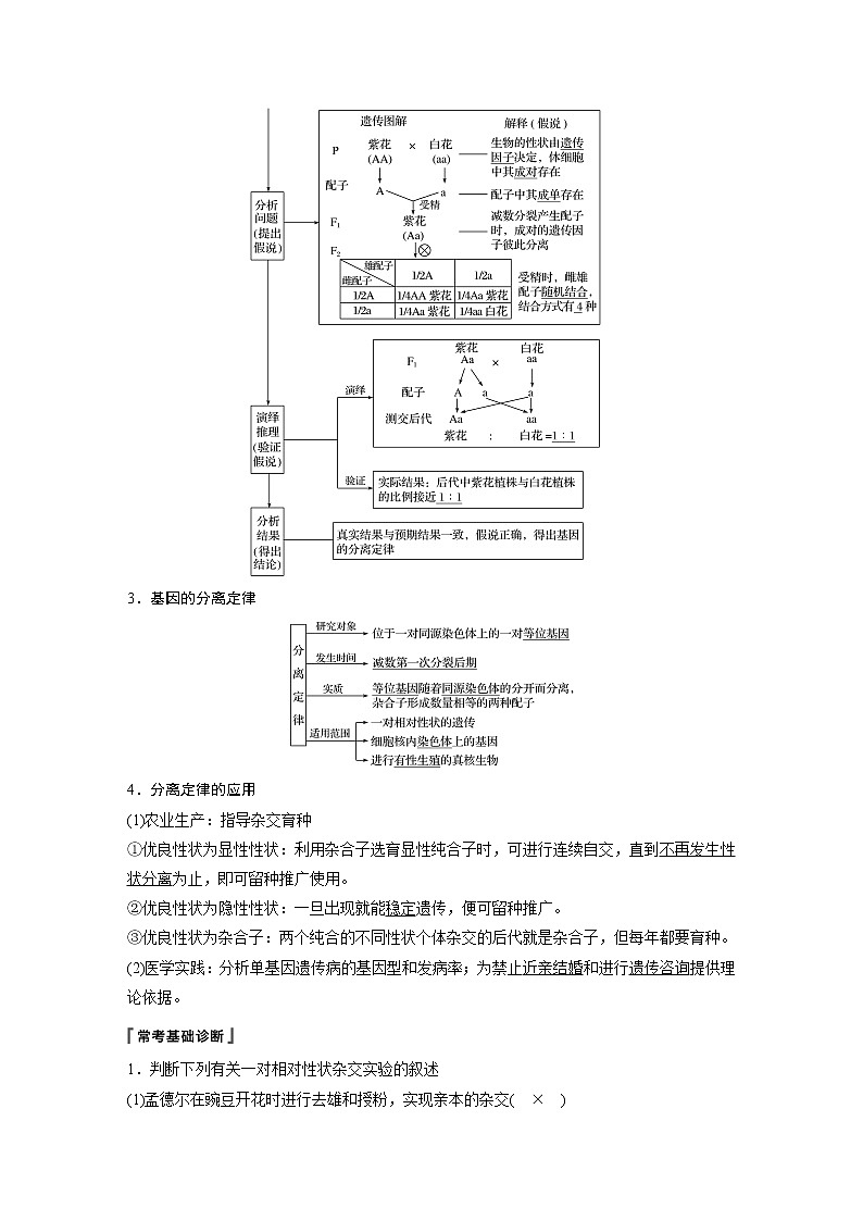 2020版生物新导学大一轮苏教讲义：第五单元基因的传递规律第15讲第3页