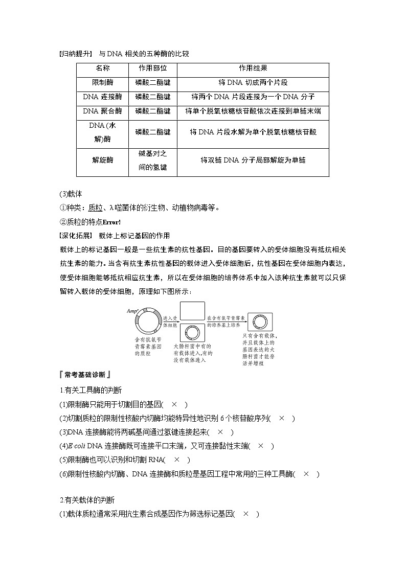 2020版高考生物苏教版一轮复习讲义：第十单元第35讲基因工程02