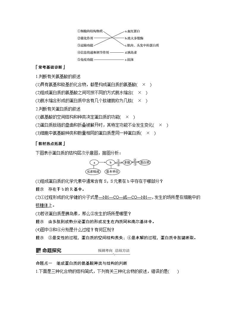 2020版高考生物苏教版一轮复习讲义：第一单元第2讲蛋白质的结构和功能第2页