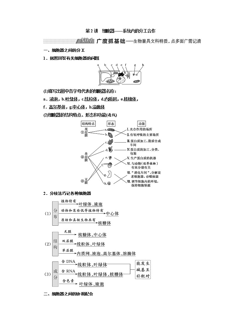 2020版高考生物新创新一轮复习通用版讲义：必修①第二单元第2讲细胞器——系统内的分工合作01