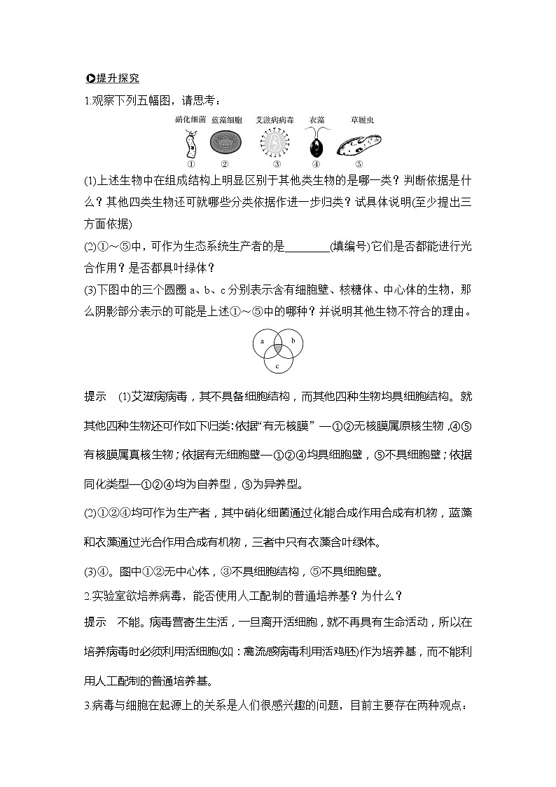 2020版高考生物新设计大一轮北师大版讲义：第一单元认识细胞与细胞的化学组成第1讲第3页