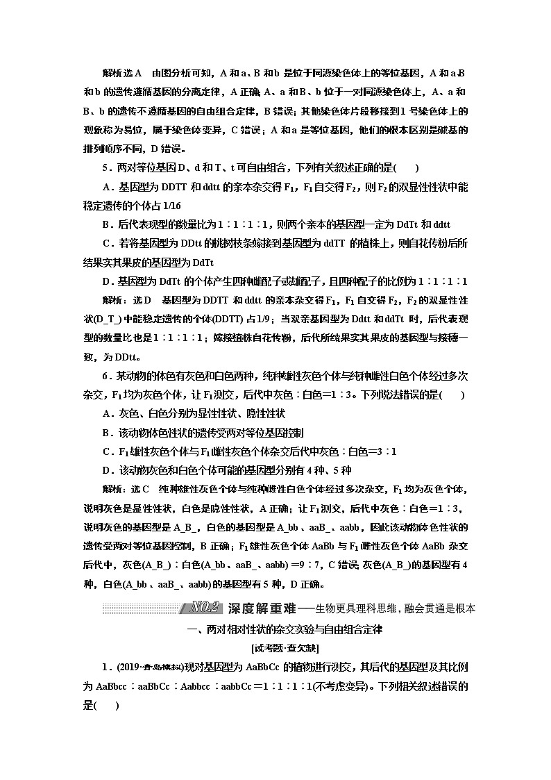 2020版高考新创新一轮复习生物新课改省份专用学案：模块二第一单元第2讲孟德尔的豌豆杂交实验（二）03