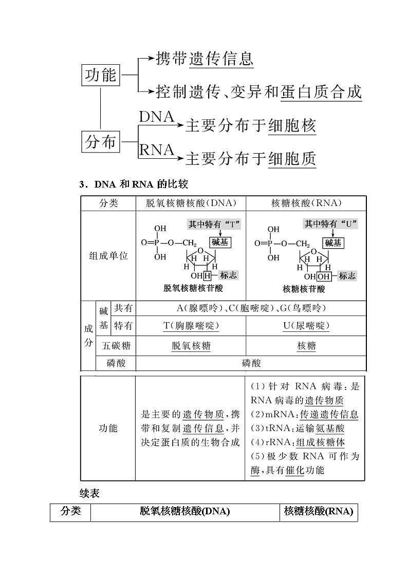 2020版《赢在微点》高考生物人教版一轮复习讲义：第一单元第04讲核酸糖类和脂质02