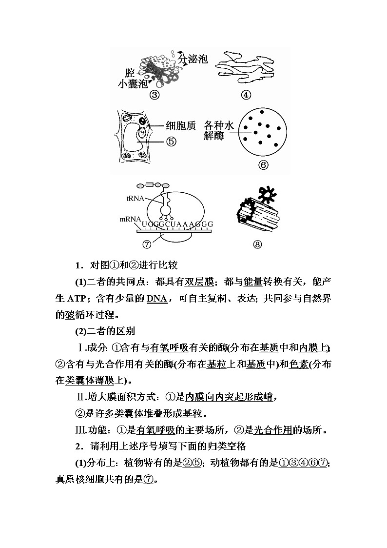 2020版《赢在微点》高考生物人教版一轮复习讲义：第二单元第02讲细胞器与生物膜系统第2页