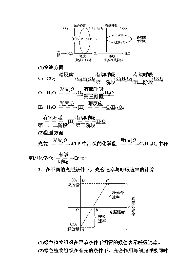 2020版《赢在微点》高考生物人教版一轮复习讲义：第三单元第04讲光合作用02