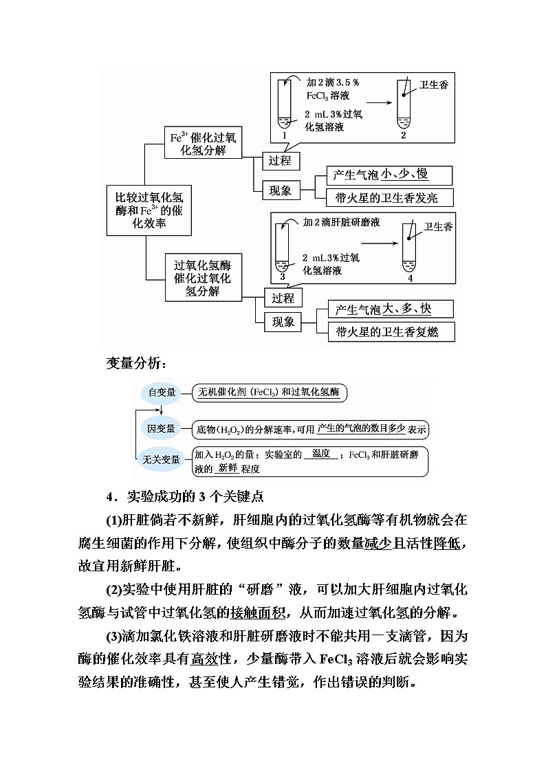 2020版《赢在微点》高考生物人教版一轮复习讲义：第三单元第01讲　降低化学反应活化能的酶第3页