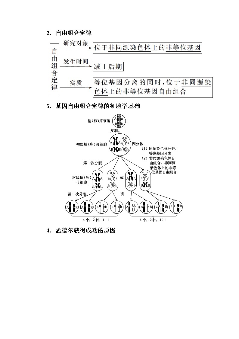 2020版《赢在微点》高考生物人教版一轮复习讲义：第五单元第02讲孟德尔的豌豆杂交实验第2页