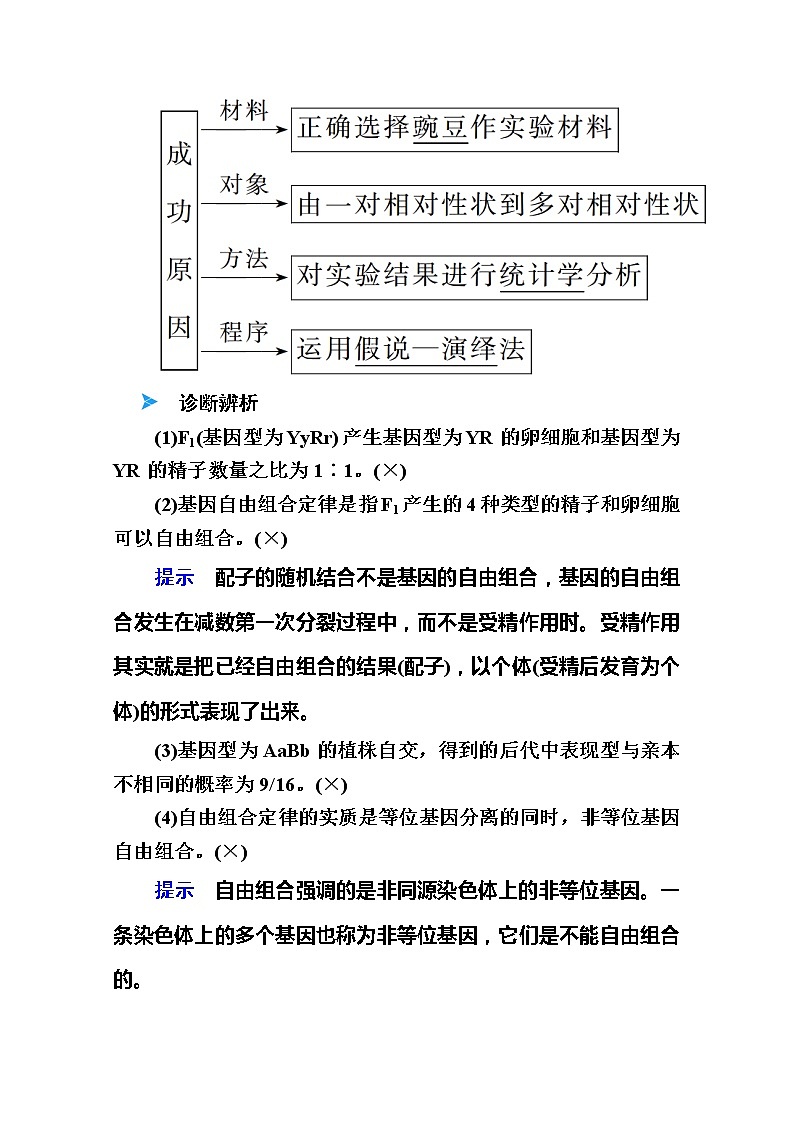 2020版《赢在微点》高考生物人教版一轮复习讲义：第五单元第02讲孟德尔的豌豆杂交实验第3页