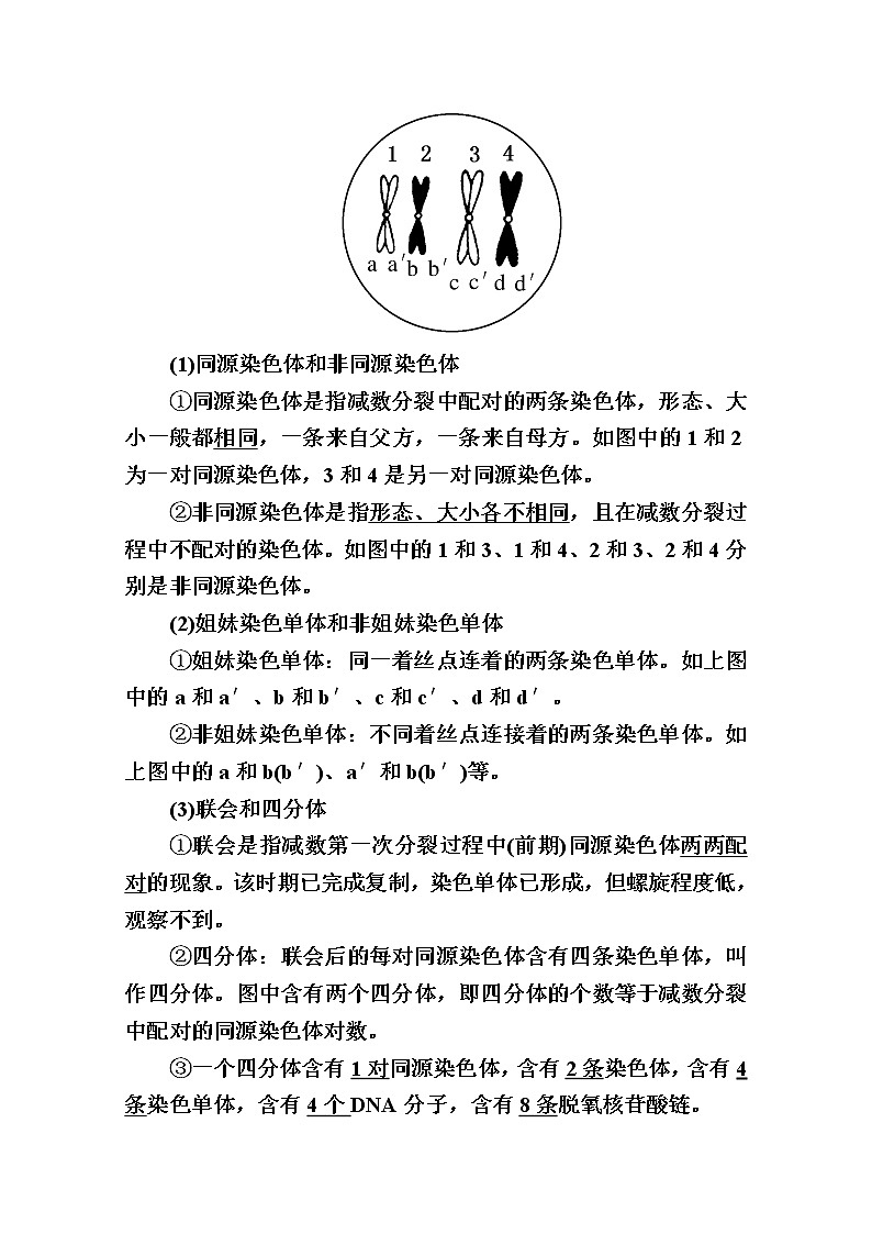 2020版《赢在微点》高考生物人教版一轮复习讲义：第四单元第02讲减数分裂和受精作用第2页