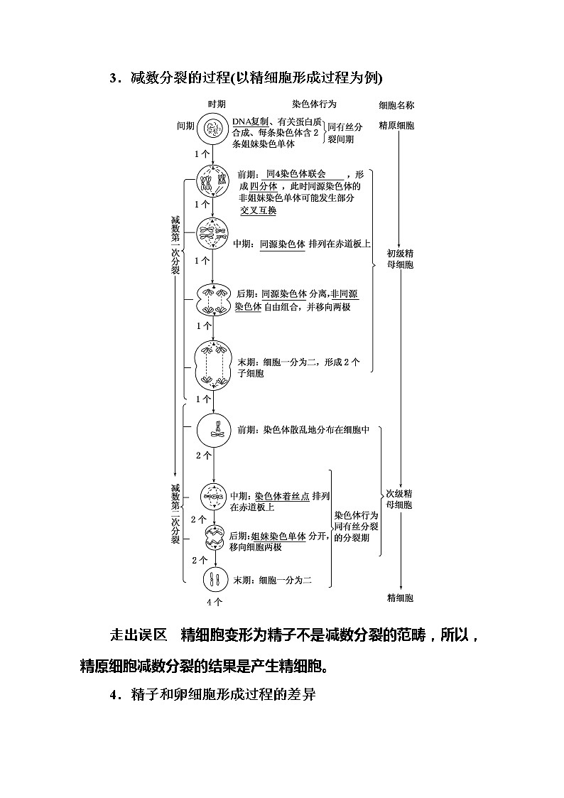 2020版《赢在微点》高考生物人教版一轮复习讲义：第四单元第02讲减数分裂和受精作用第3页