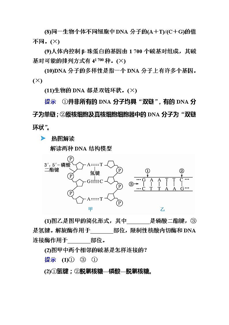 2020版《赢在微点》高考生物人教版一轮复习讲义：第六单元第02讲DNA的结构03