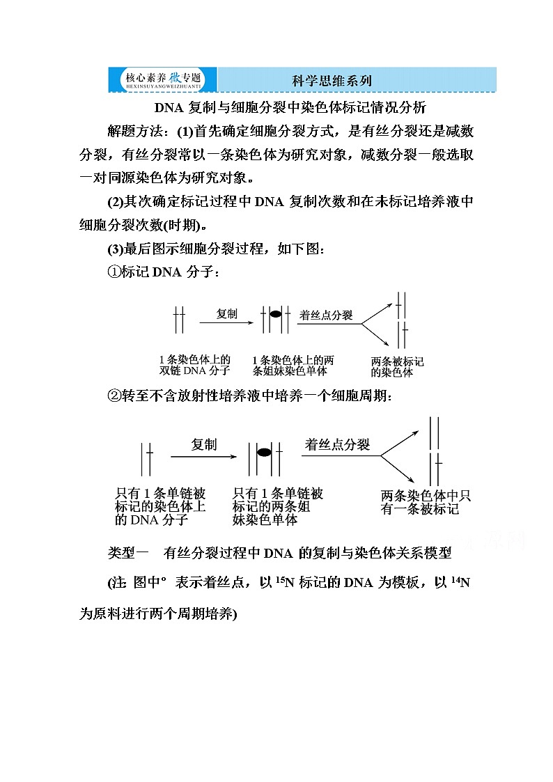 2020版《赢在微点》高考生物人教版一轮复习讲义：第六单元核心素养微专题6-2DNA复制与细胞分裂中染色体标记情况分析01
