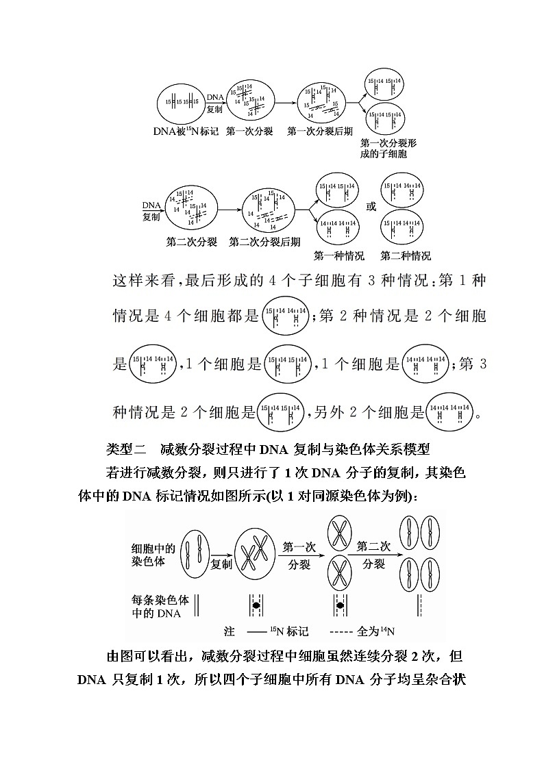 2020版《赢在微点》高考生物人教版一轮复习讲义：第六单元核心素养微专题6-2DNA复制与细胞分裂中染色体标记情况分析02