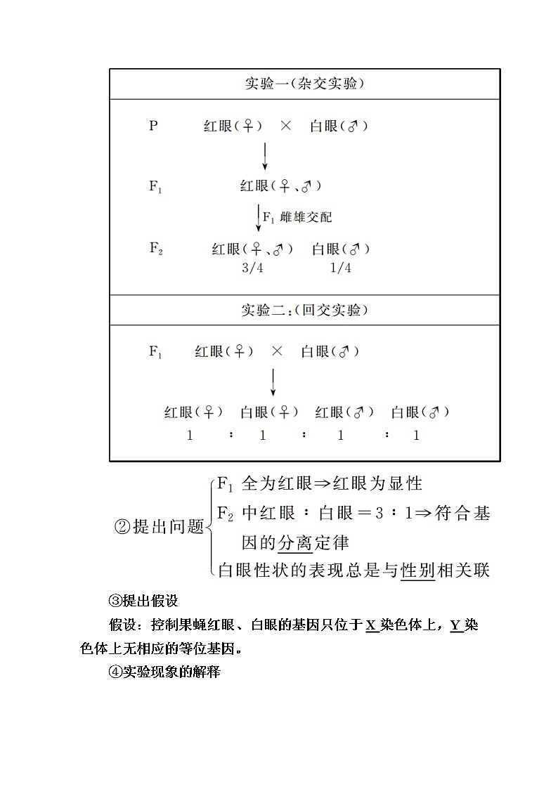 2020版《赢在微点》高考生物人教版一轮复习讲义：第五单元第03讲基因在染色体上与伴性遗传第3页