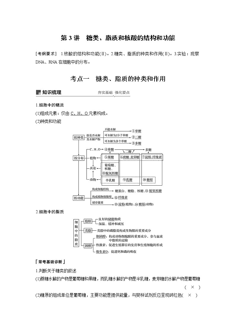 2020版高考生物苏教版一轮复习讲义：第一单元第3讲糖类、脂质和核酸的结构和功能第1页