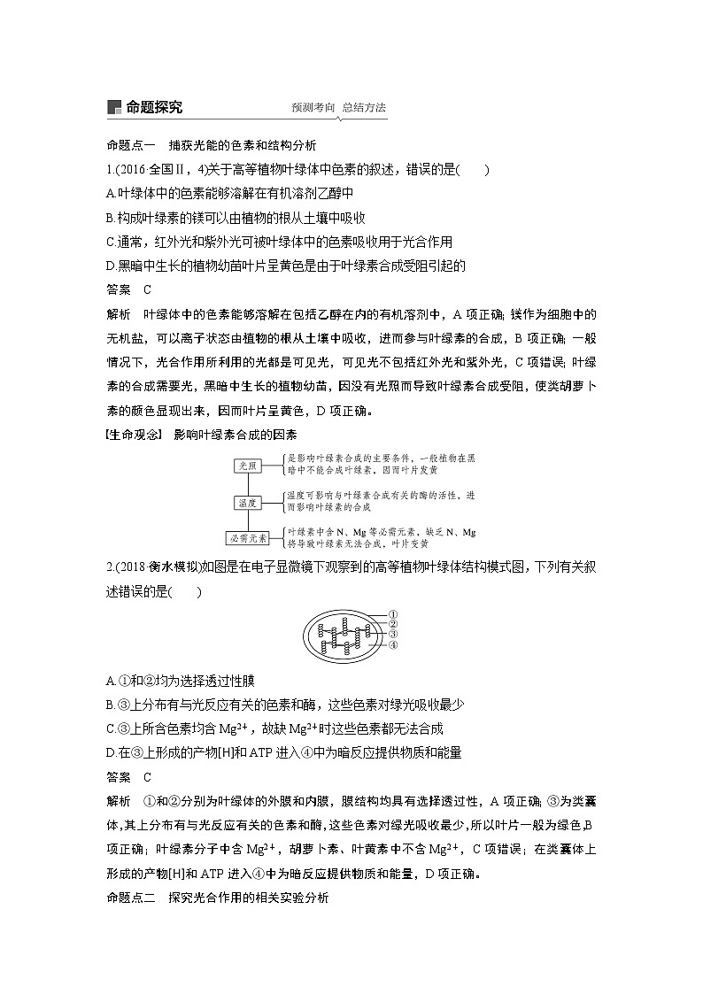 2020版高考生物苏教版一轮复习讲义：第三单元第9讲光合作用第3页