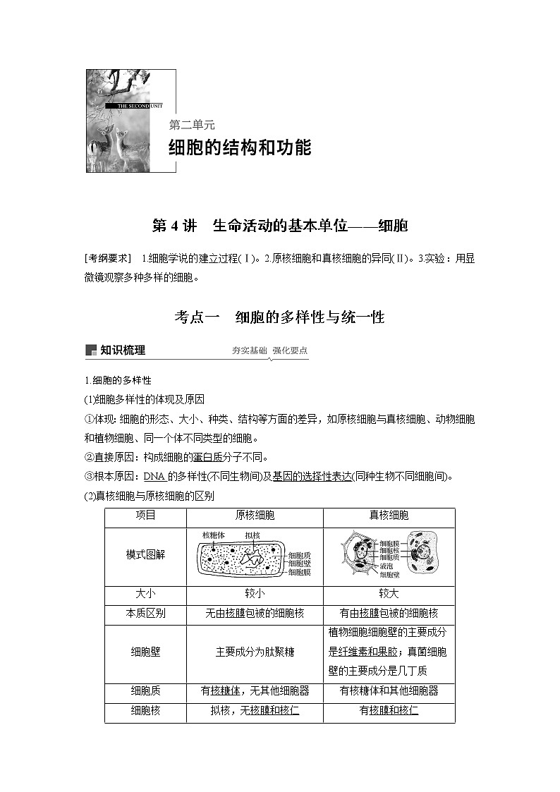 2020版高考生物苏教版一轮复习讲义：第二单元第4讲生命活动的基本单位——细胞01