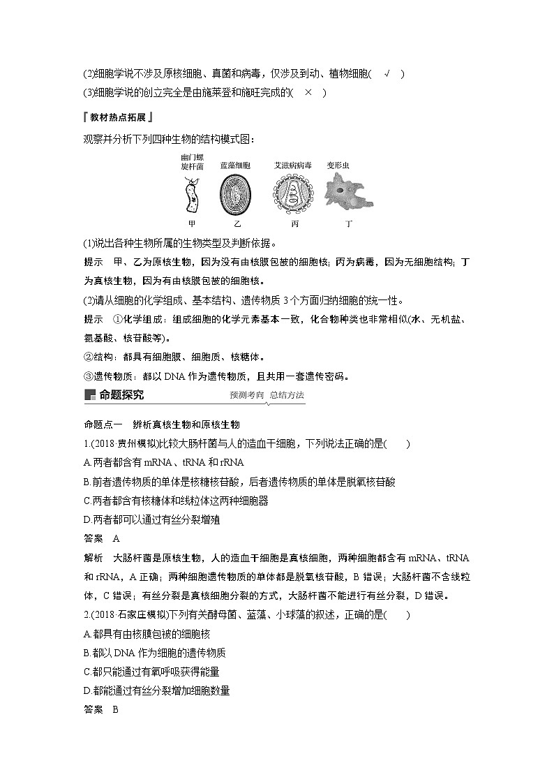 2020版高考生物苏教版一轮复习讲义：第二单元第4讲生命活动的基本单位——细胞03