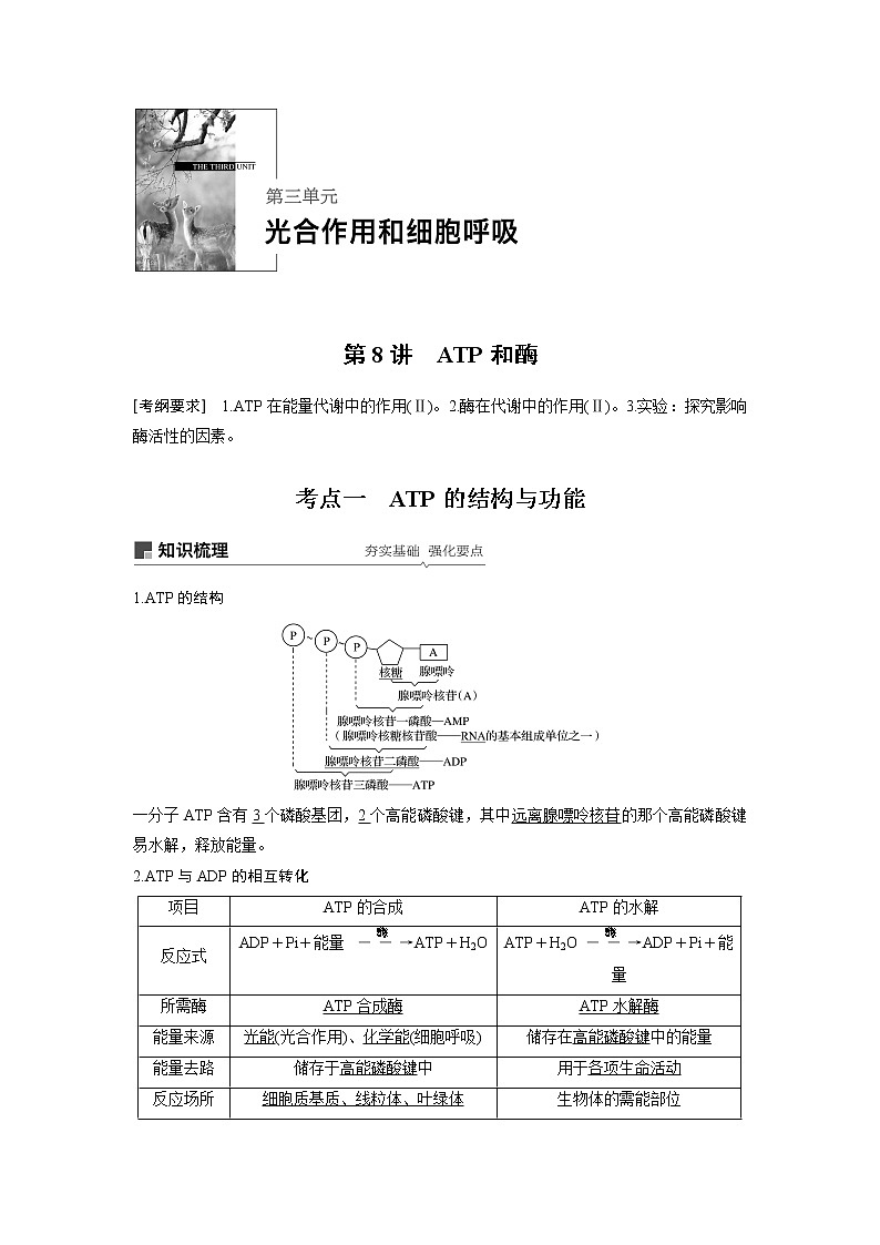 2020版高考生物苏教版一轮复习讲义：第三单元第8讲ATP和酶第1页