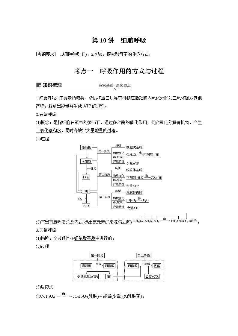 2020版高考生物苏教版一轮复习讲义：第三单元第10讲细胞呼吸第1页