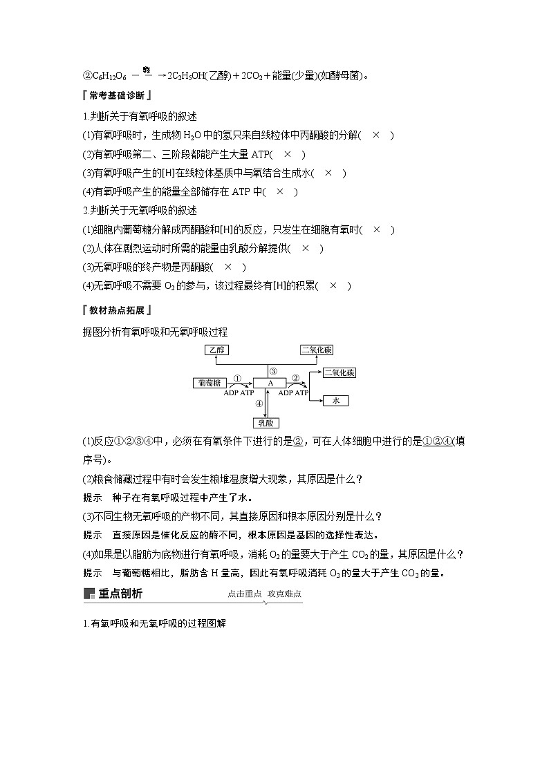2020版高考生物苏教版一轮复习讲义：第三单元第10讲细胞呼吸第2页