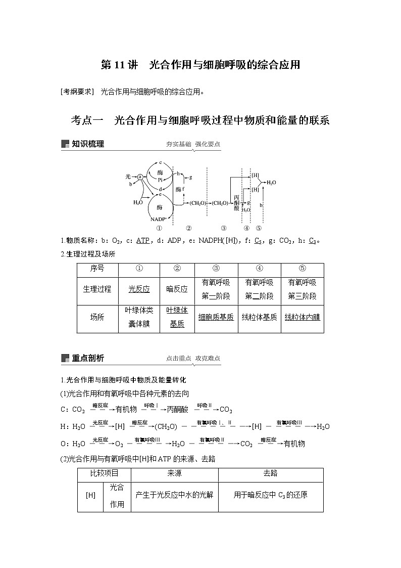 2020版高考生物苏教版一轮复习讲义：第三单元第11讲光合作用与细胞呼吸的综合应用01