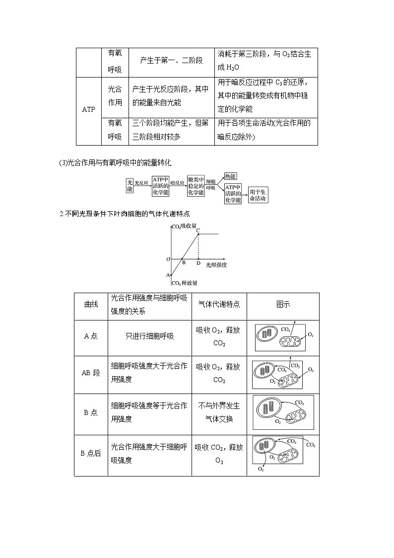 2020版高考生物苏教版一轮复习讲义：第三单元第11讲光合作用与细胞呼吸的综合应用02