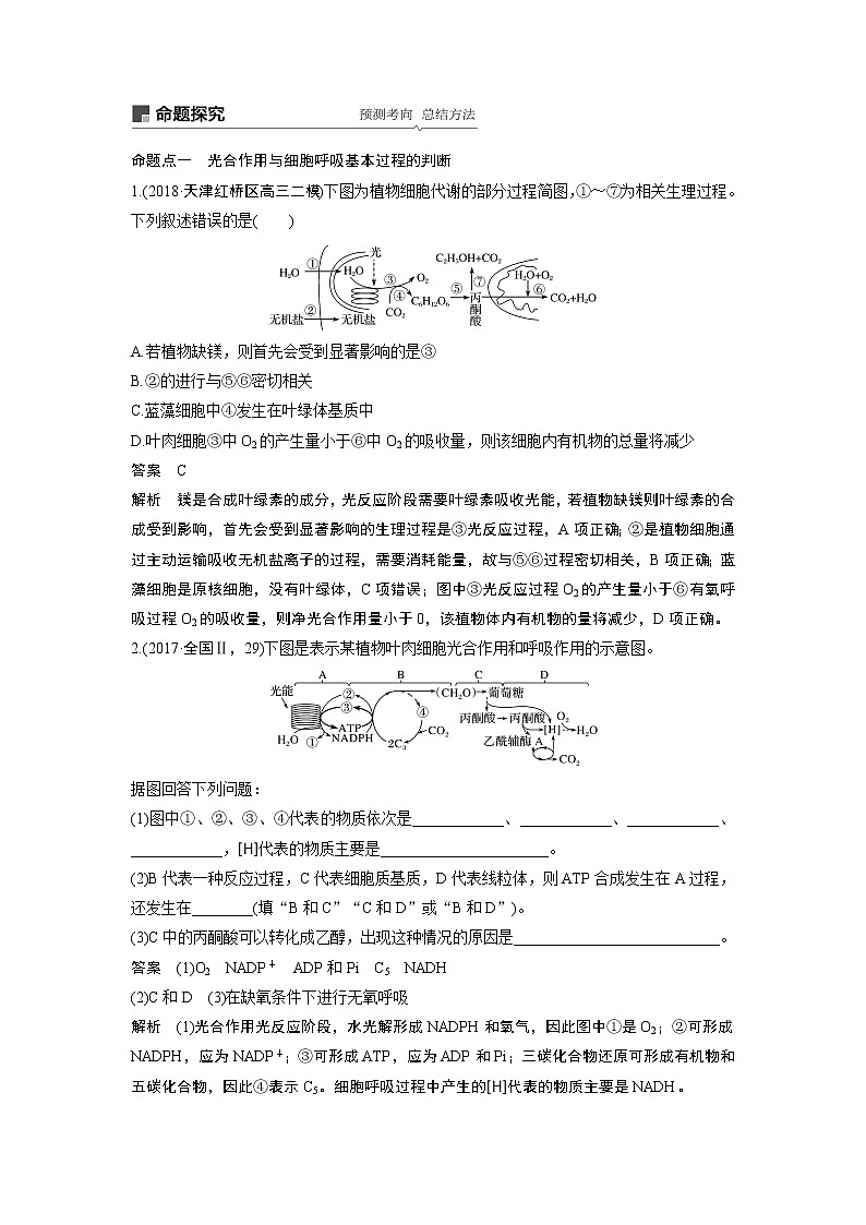 2020版高考生物苏教版一轮复习讲义：第三单元第11讲光合作用与细胞呼吸的综合应用03