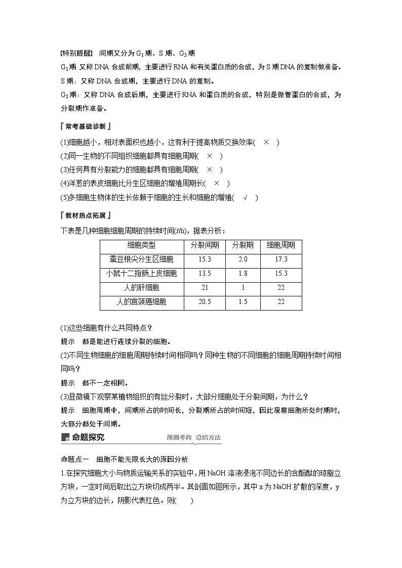2020版高考生物苏教版一轮复习讲义：第四单元第12讲细胞增殖03