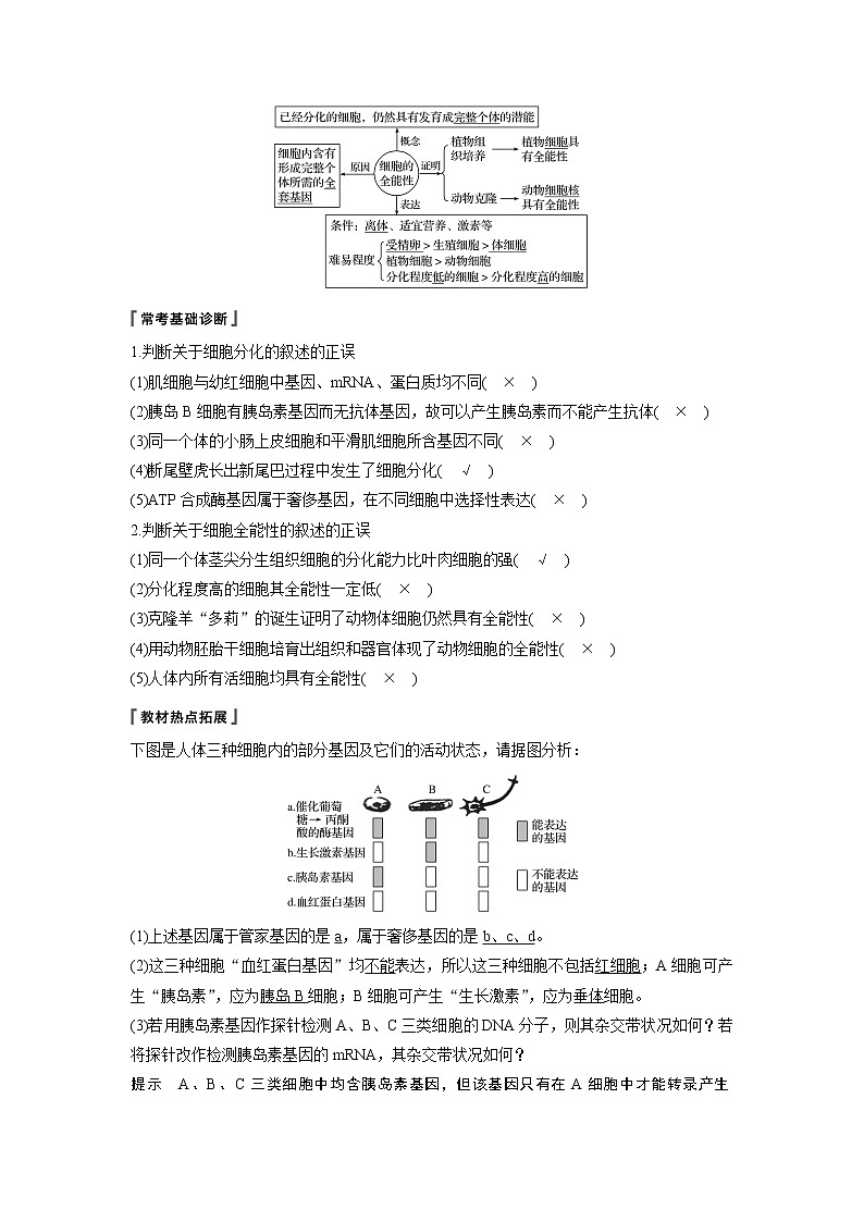 2020版高考生物苏教版一轮复习讲义：第四单元第14讲细胞的分化、衰老、凋亡与癌变第2页