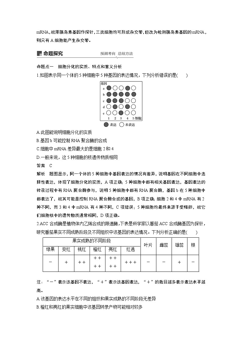 2020版高考生物苏教版一轮复习讲义：第四单元第14讲细胞的分化、衰老、凋亡与癌变第3页