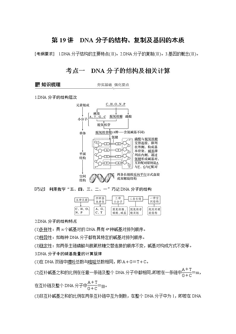 2020版高考生物苏教版一轮复习讲义：第六单元第19讲DNA分子的结构、复制及基因的本质第1页
