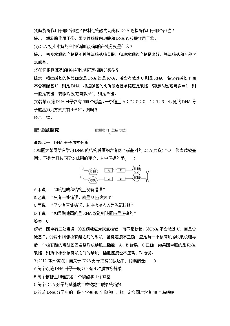 2020版高考生物苏教版一轮复习讲义：第六单元第19讲DNA分子的结构、复制及基因的本质第3页