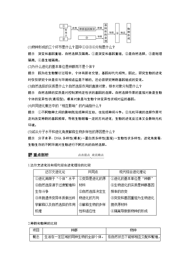 2020版高考生物苏教版一轮复习讲义：第七单元第23讲生物的进化第3页