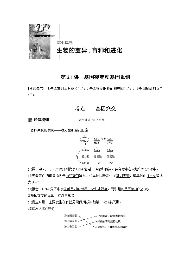 2020版高考生物苏教版一轮复习讲义：第七单元第21讲基因突变和基因重组第1页
