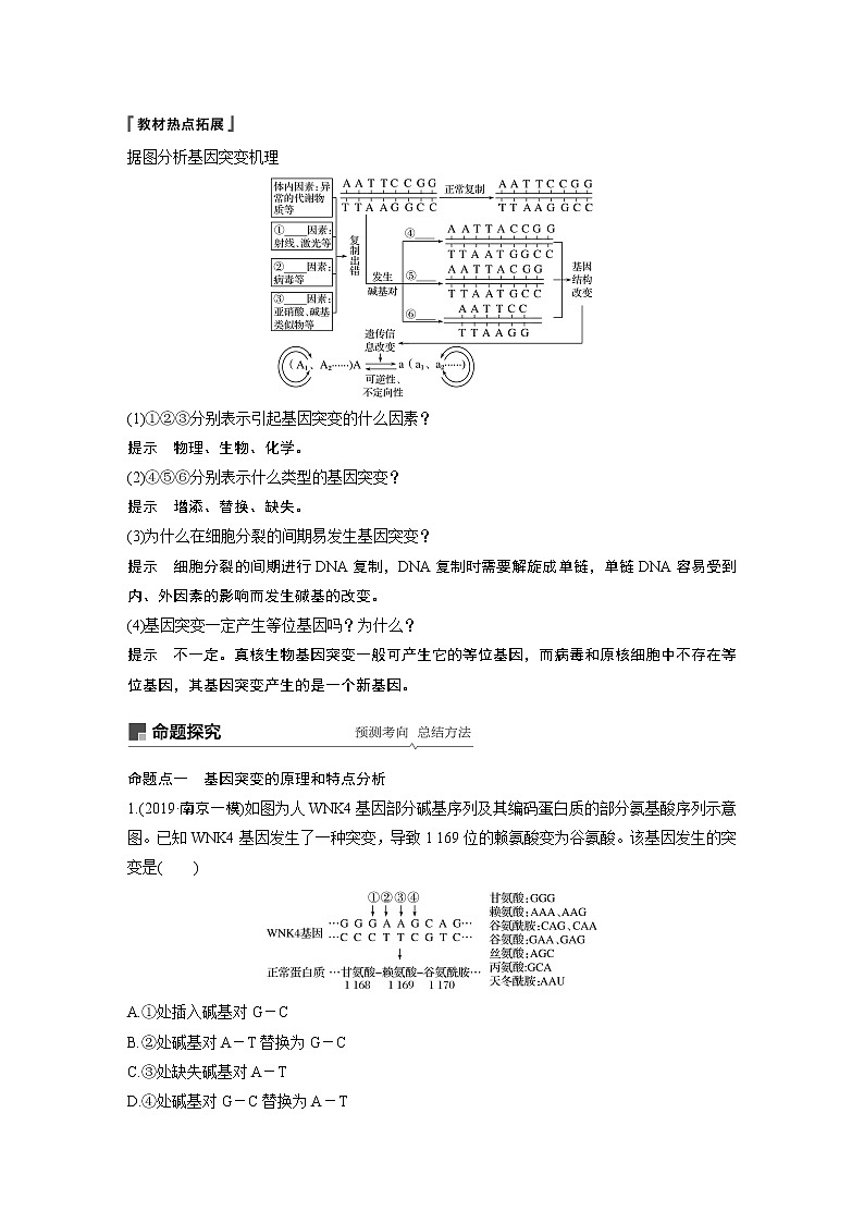 2020版高考生物苏教版一轮复习讲义：第七单元第21讲基因突变和基因重组第3页