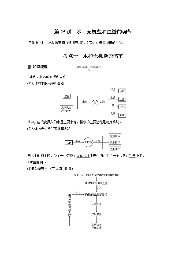 2020版高考生物苏教版一轮复习讲义：第八单元第25讲水、无机盐和血糖的调节第1页