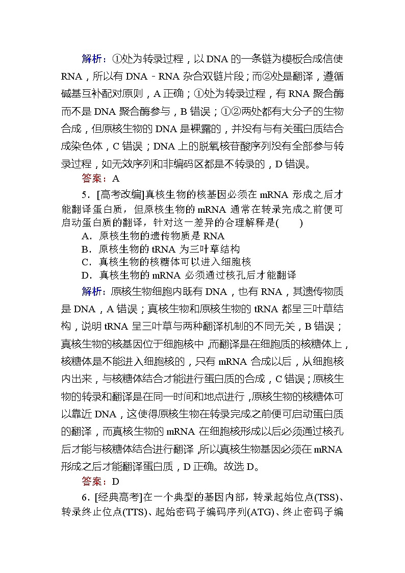 2020版《全程复习方略》高考生物一轮复习课后定时检测案22基因控制蛋白质的合成及其与性状的关系03