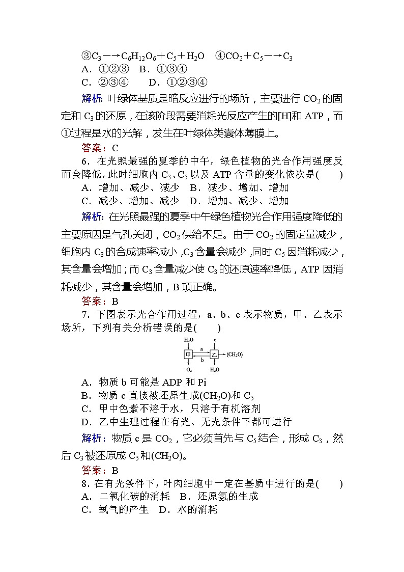 2020版《全程复习方略》高考生物一轮复习课后定时检测案10能量之源——光与光合作用（一）03