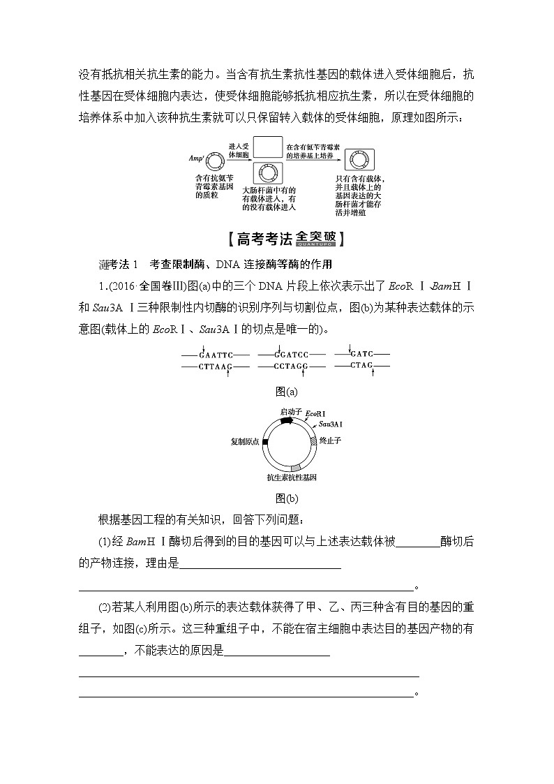 2020版新一线高考生物（人教版）一轮复习教学案：生物技术与工程第3讲基因工程03