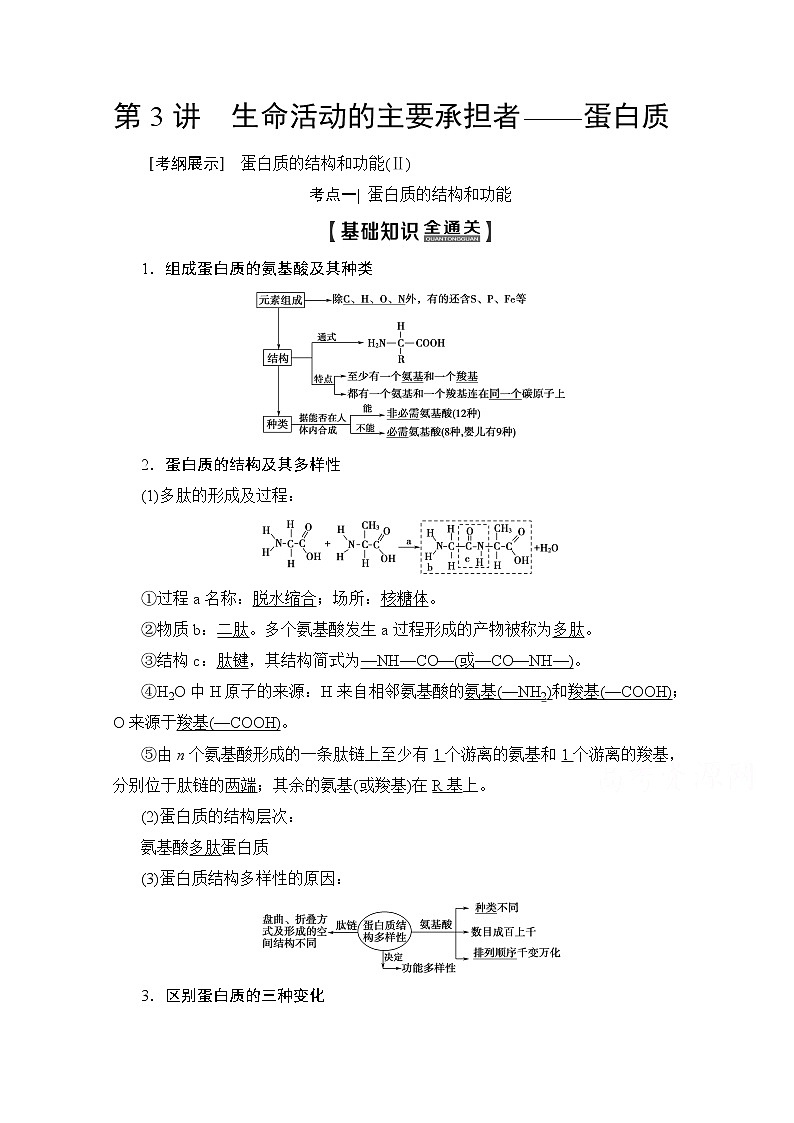 2020版新一线高考生物（人教版）一轮复习教学案：第1单元第3讲生命活动的主要承担者——蛋白质01