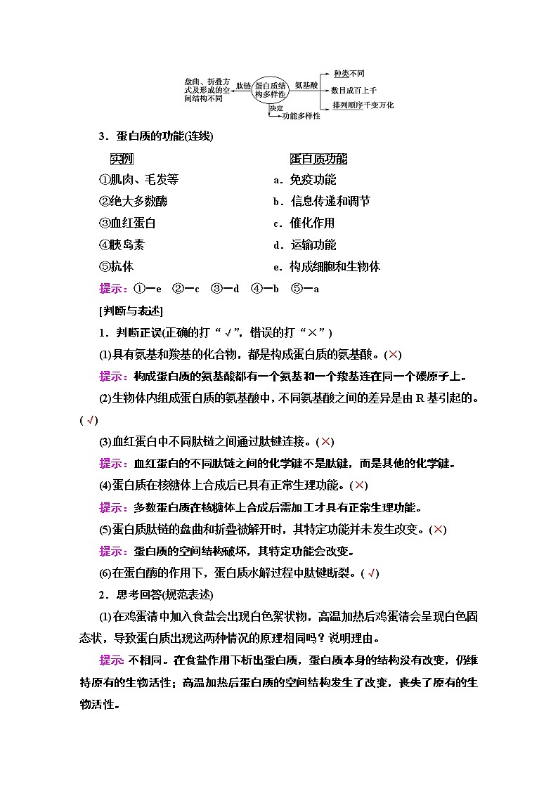 2020版新一线高考生物（苏教版）一轮复习教学案：必修1第1单元第3讲　蛋白质的结构和功能02