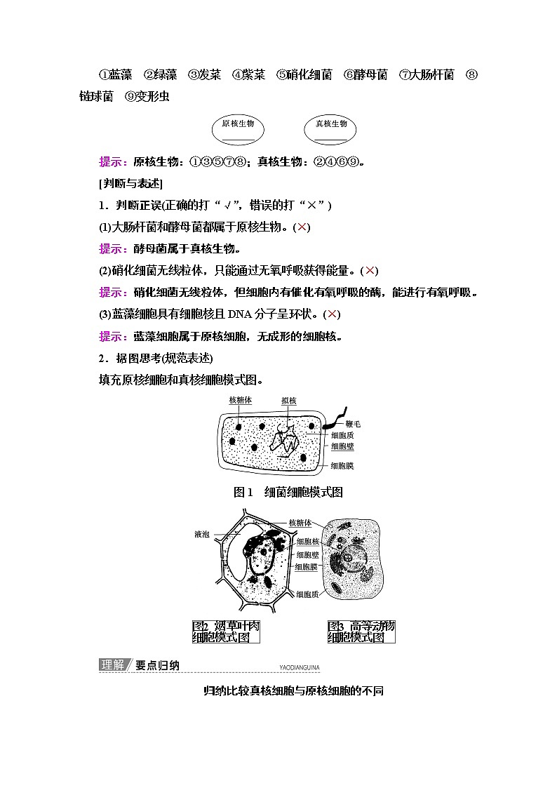 2020版新一线高考生物（苏教版）一轮复习教学案：必修1第2单元第1讲　生命活动的基本单位——细胞02
