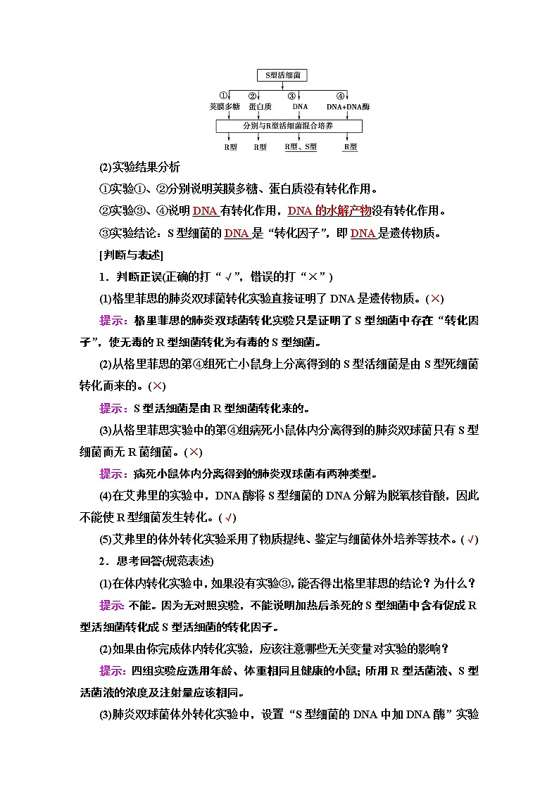 2020版新一线高考生物（苏教版）一轮复习教学案：必修2第6单元第1讲　探索遗传物质的过程02