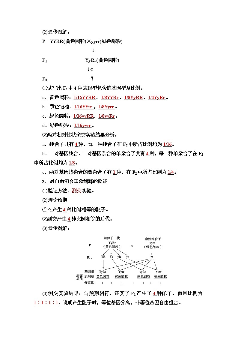 2020版新一线高考生物（苏教版）一轮复习教学案：必修2第5单元第2讲　孟德尔的豌豆杂交实验（二）02