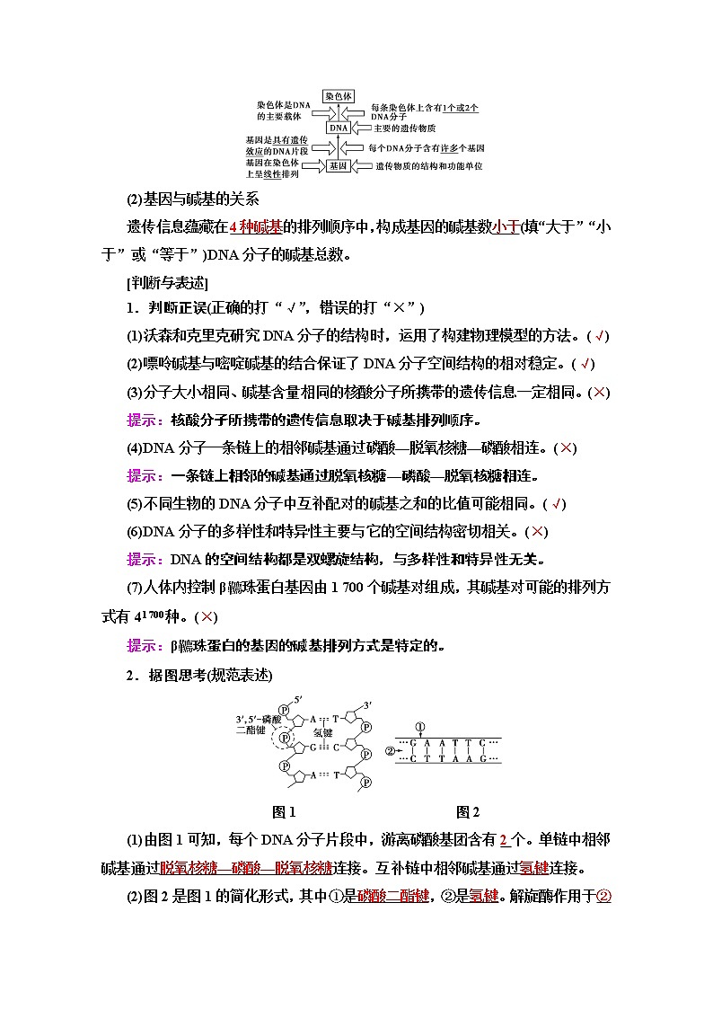 2020版新一线高考生物（苏教版）一轮复习教学案：必修2第6单元第2讲　DNA分子的结构、复制与基因的本质02