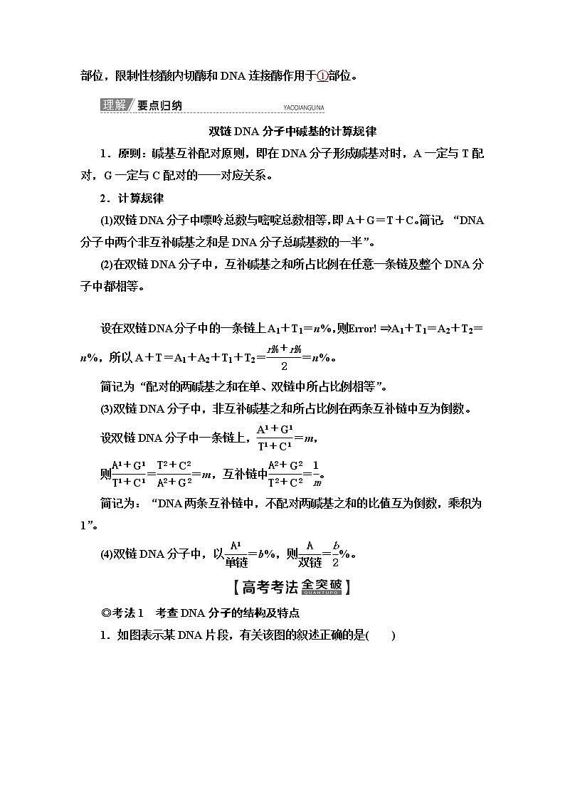 2020版新一线高考生物（苏教版）一轮复习教学案：必修2第6单元第2讲　DNA分子的结构、复制与基因的本质03