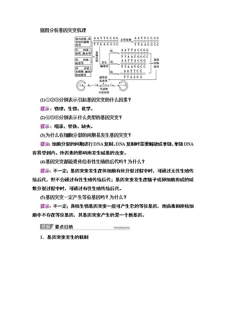 2020版新一线高考生物（苏教版）一轮复习教学案：必修2第7单元第1讲　基因突变和基因重组03