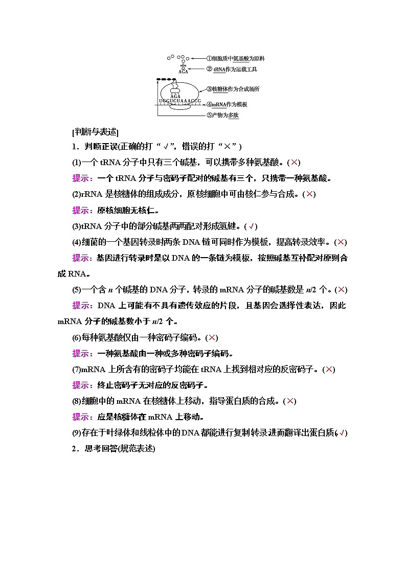 2020版新一线高考生物（苏教版）一轮复习教学案：必修2第6单元第3讲　基因控制蛋白质的合成03